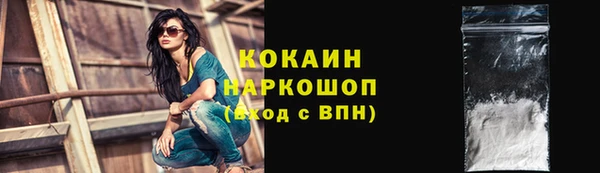 гашик Белокуриха