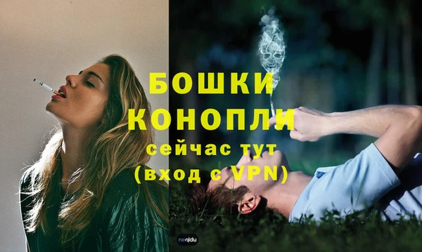 спиды Зеленокумск