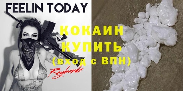 гашик Белокуриха