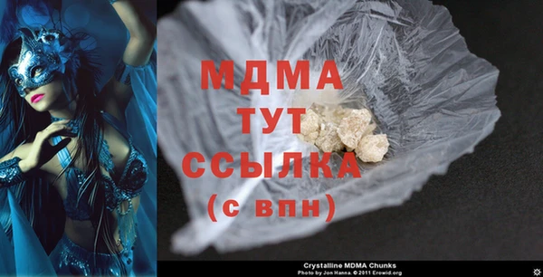 индика Зеленодольск