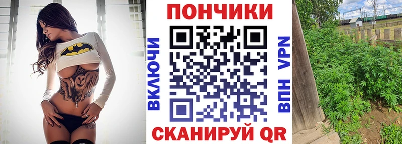 Бошки марихуана индика  закладка  Очёр 
